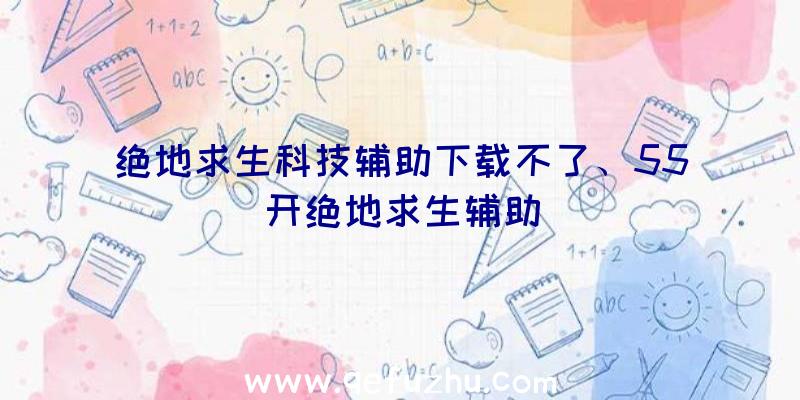 绝地求生科技辅助下载不了、55开绝地求生辅助