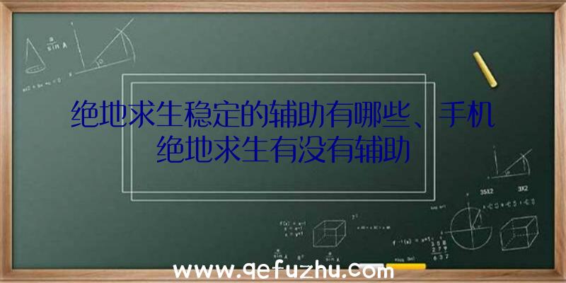 绝地求生稳定的辅助有哪些、手机绝地求生有没有辅助