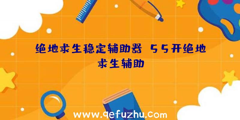 绝地求生稳定辅助器、55开绝地求生辅助