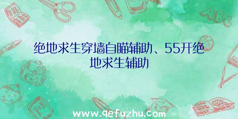 绝地求生穿墙自瞄辅助、55开绝地求生辅助