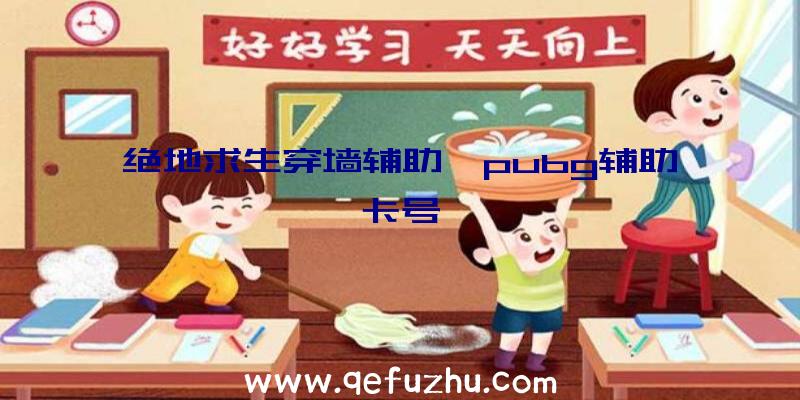 绝地求生穿墙辅助、pubg辅助卡号