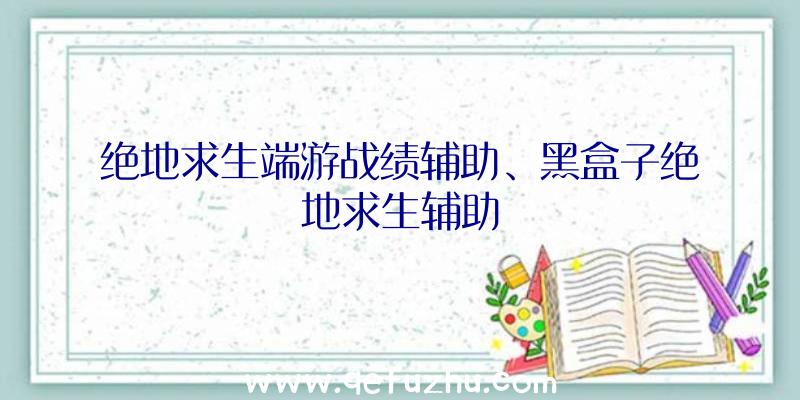 绝地求生端游战绩辅助、黑盒子绝地求生辅助