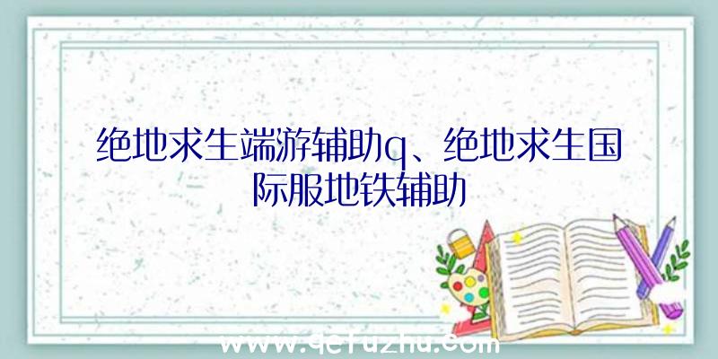 绝地求生端游辅助q、绝地求生国际服地铁辅助