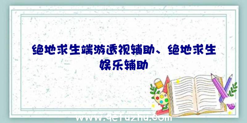 绝地求生端游透视辅助、绝地求生娱乐辅助