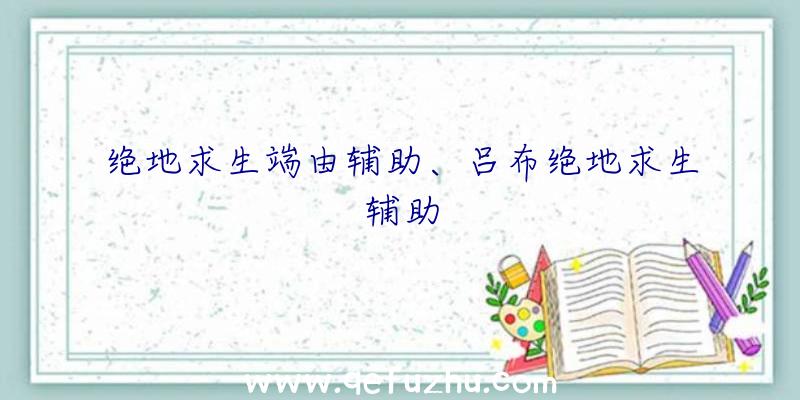 绝地求生端由辅助、吕布绝地求生辅助