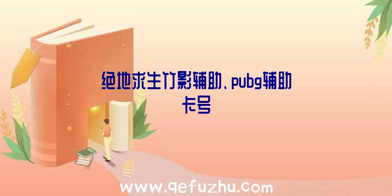 绝地求生竹影辅助、pubg辅助卡号