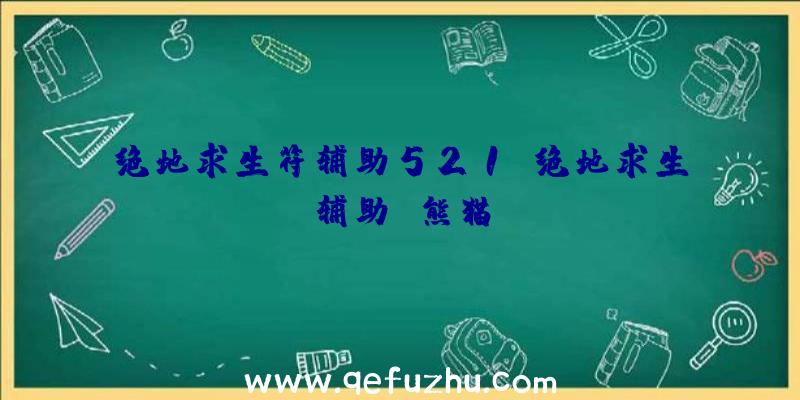 绝地求生符辅助521、绝地求生辅助