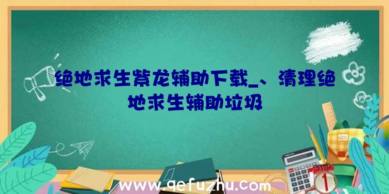 绝地求生紫龙辅助下载_、清理绝地求生辅助垃圾