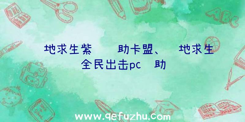 绝地求生紫龙辅助卡盟、绝地求生全民出击pc辅助