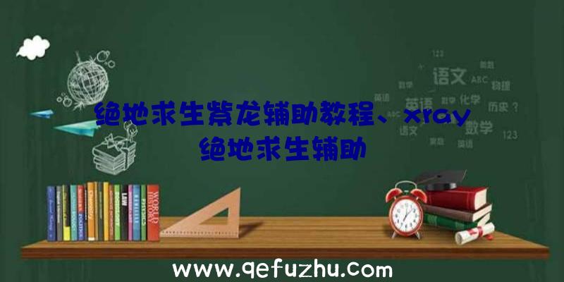 绝地求生紫龙辅助教程、xray绝地求生辅助