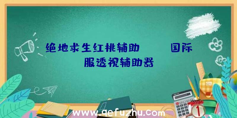 绝地求生红桃辅助、pubg国际服透视辅助器