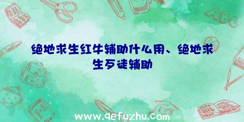 绝地求生红牛辅助什么用、绝地求生歹徒辅助