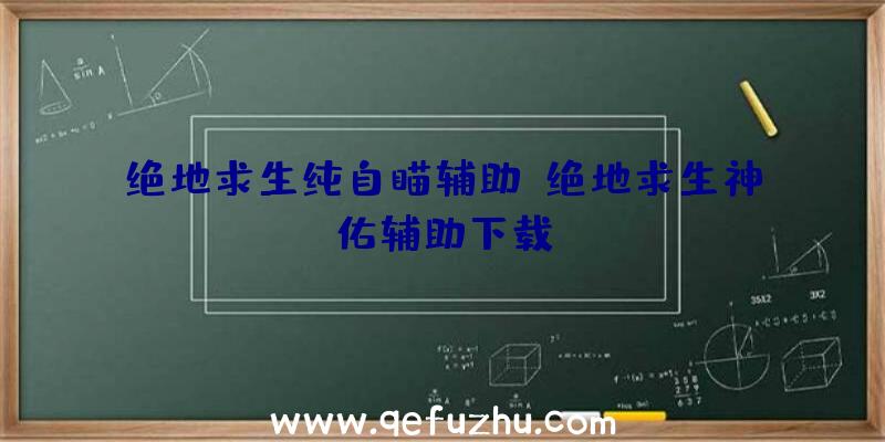 绝地求生纯自瞄辅助、绝地求生神佑辅助下载