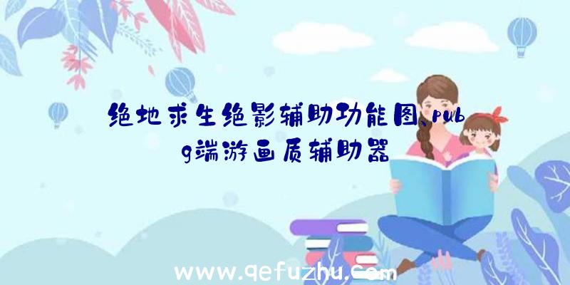 绝地求生绝影辅助功能图、pubg端游画质辅助器