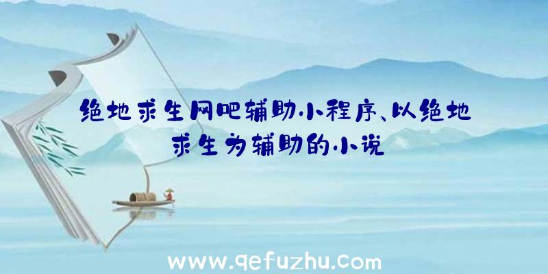 绝地求生网吧辅助小程序、以绝地求生为辅助的小说