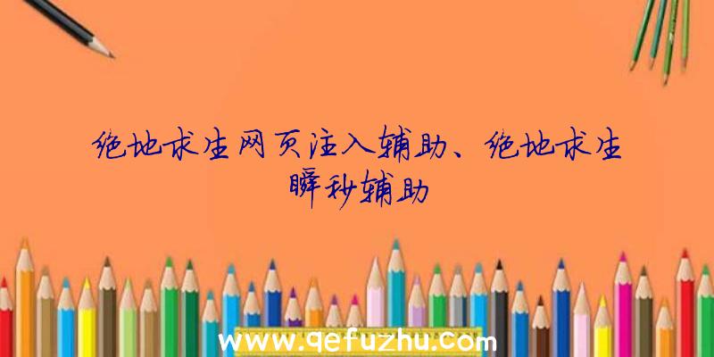 绝地求生网页注入辅助、绝地求生瞬秒辅助