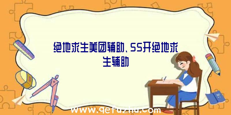 绝地求生美团辅助、55开绝地求生辅助