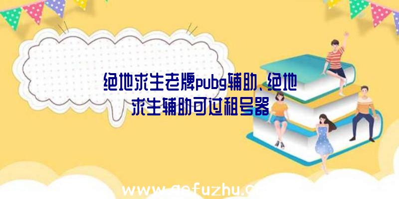 绝地求生老牌pubg辅助、绝地求生辅助可过租号器