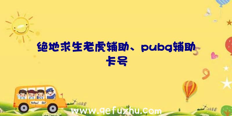 绝地求生老虎辅助、pubg辅助卡号