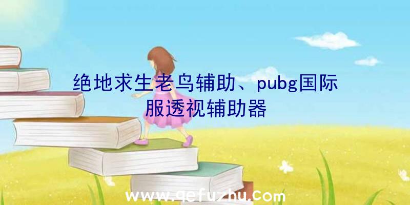 绝地求生老鸟辅助、pubg国际服透视辅助器