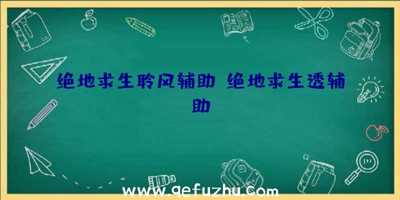 绝地求生聆风辅助、绝地求生透辅助