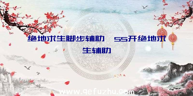 绝地求生脚步辅助、55开绝地求生辅助