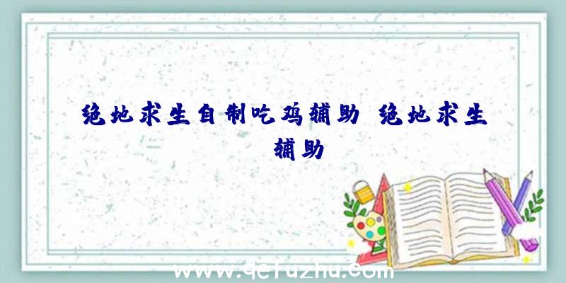 绝地求生自制吃鸡辅助、绝地求生TV辅助