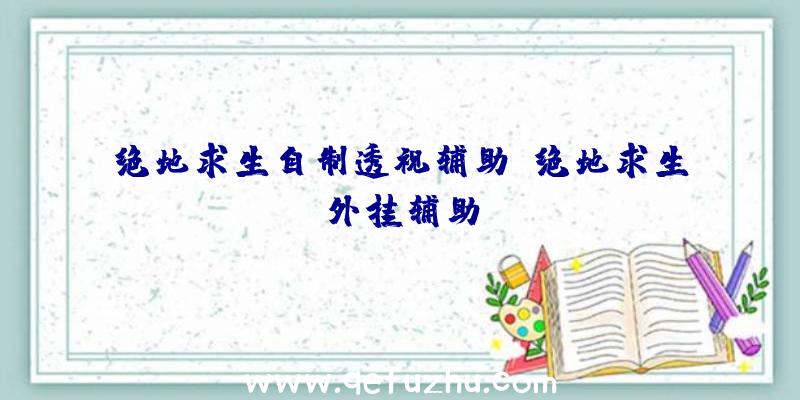 绝地求生自制透视辅助、绝地求生外挂辅助