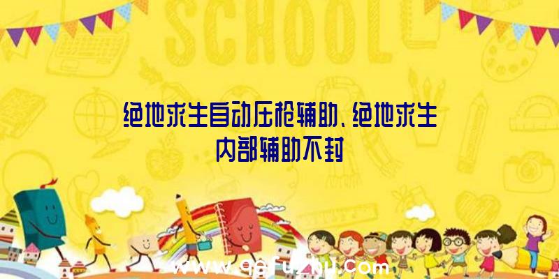 绝地求生自动压枪辅助、绝地求生内部辅助不封