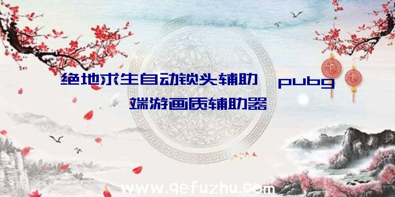 绝地求生自动锁头辅助、pubg端游画质辅助器