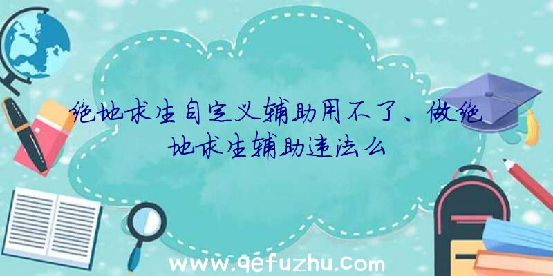 绝地求生自定义辅助用不了、做绝地求生辅助违法么