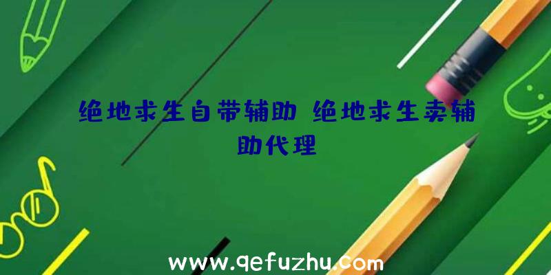 绝地求生自带辅助、绝地求生卖辅助代理