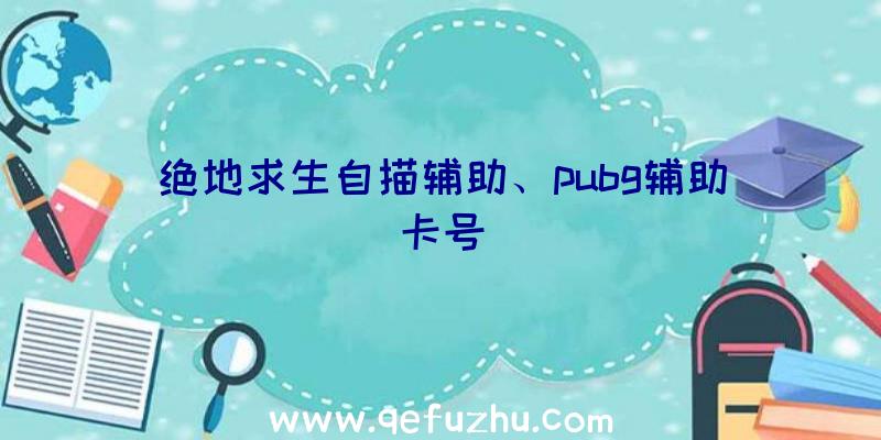 绝地求生自描辅助、pubg辅助卡号