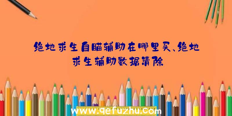 绝地求生自瞄辅助在哪里买、绝地求生辅助数据清除