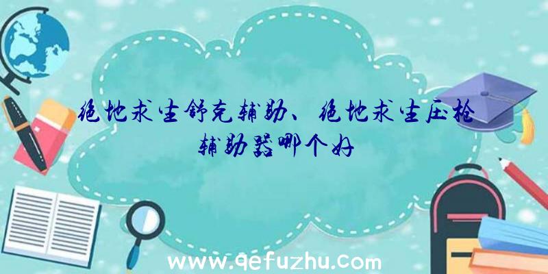 绝地求生舒克辅助、绝地求生压枪辅助器哪个好