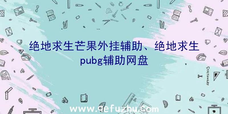 绝地求生芒果外挂辅助、绝地求生pubg辅助网盘