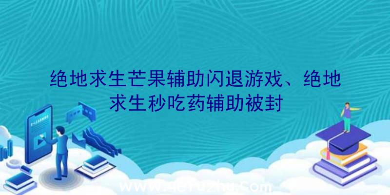 绝地求生芒果辅助闪退游戏、绝地求生秒吃药辅助被封