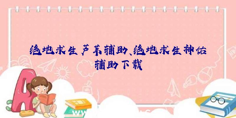 绝地求生芦苇辅助、绝地求生神佑辅助下载