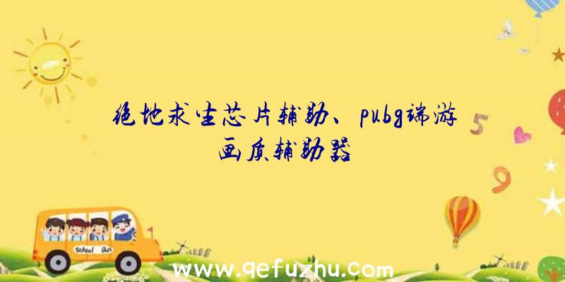 绝地求生芯片辅助、pubg端游画质辅助器