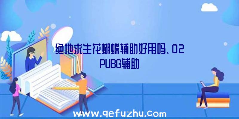 绝地求生花蝴蝶辅助好用吗、02PUBG辅助