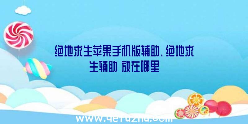 绝地求生苹果手机版辅助、绝地求生辅助