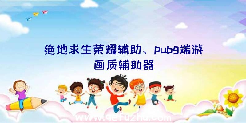 绝地求生荣耀辅助、pubg端游画质辅助器