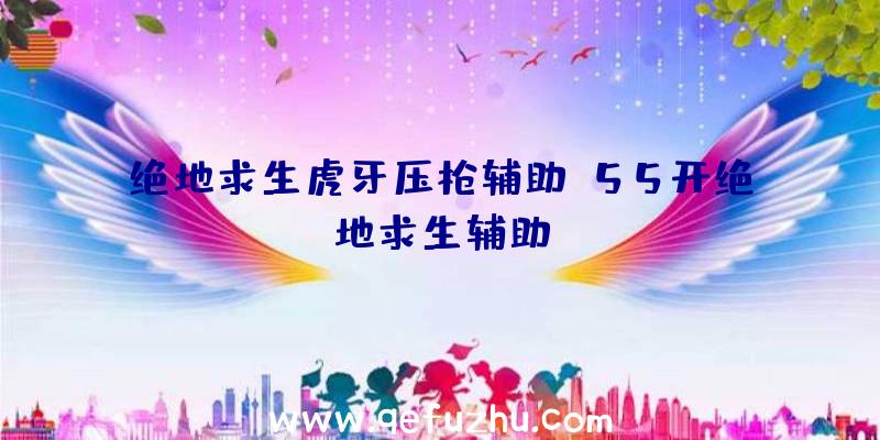 绝地求生虎牙压枪辅助、55开绝地求生辅助