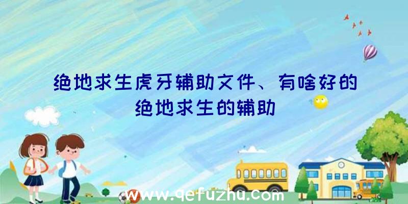 绝地求生虎牙辅助文件、有啥好的绝地求生的辅助