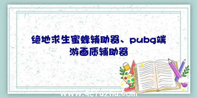 绝地求生蜜蜂辅助器、pubg端游画质辅助器