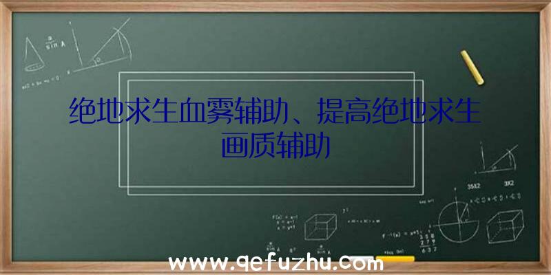 绝地求生血雾辅助、提高绝地求生画质辅助