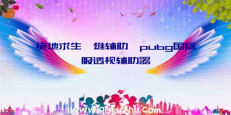 绝地求生袅雄辅助、pubg国际服透视辅助器