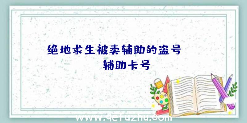 绝地求生被卖辅助的盗号、pubg辅助卡号