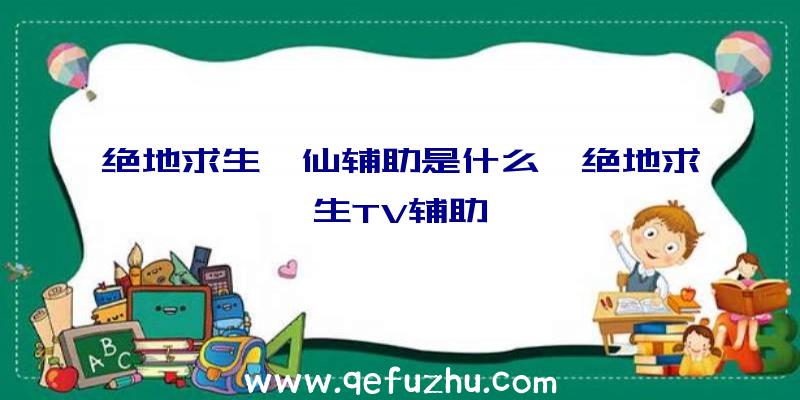 绝地求生诛仙辅助是什么、绝地求生TV辅助