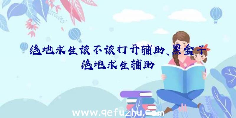 绝地求生该不该打开辅助、黑盒子绝地求生辅助